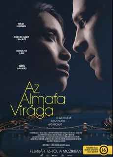 Цветок яблони